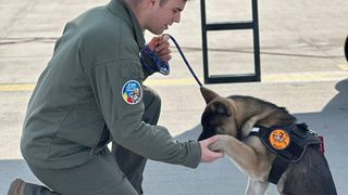 pilot mort, tragedie 