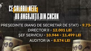 VIDEO Comisia pentru Controlul Activităților Nucleare: Unul din șapte angajați este director sau șef de serviciu