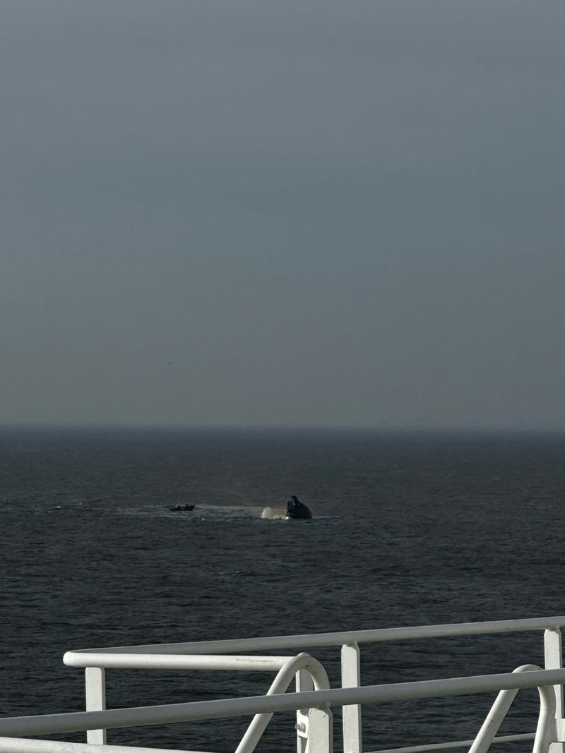 nava scufundata, portul midia 