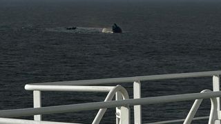 nava scufundata, portul midia 