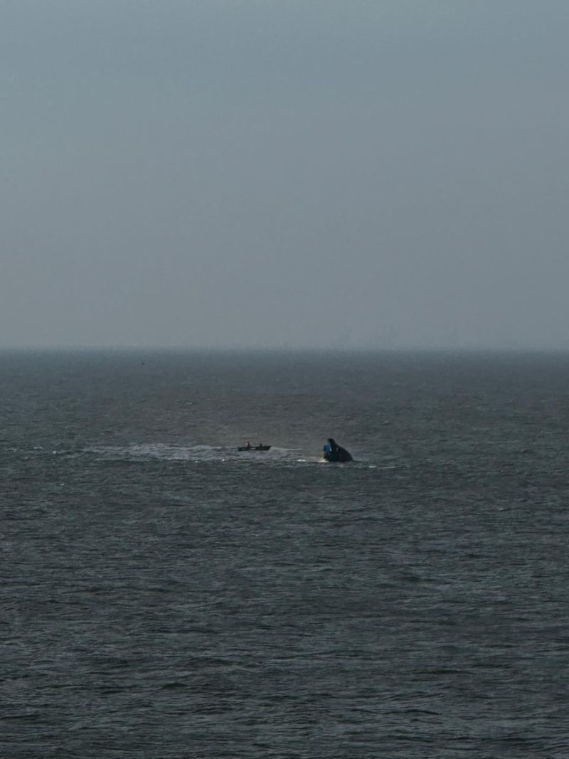 nava scufundata, portul midia 