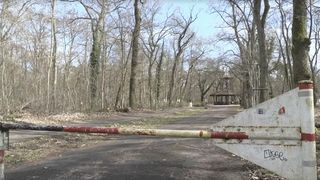 tanara ucisa, razboi ucraina 