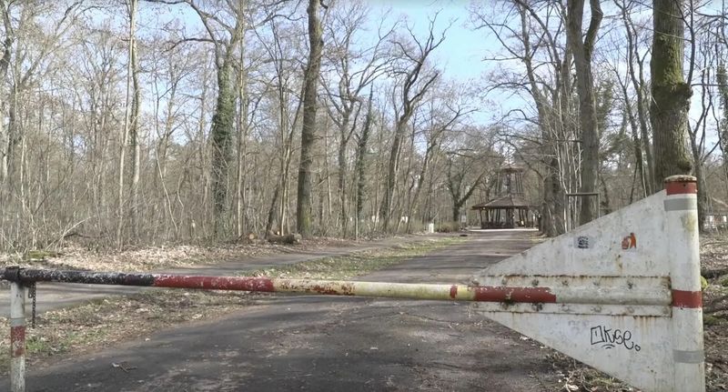 tanara ucisa, razboi ucraina 