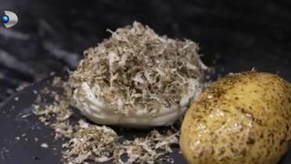 Gusturi vechi, rețete noi