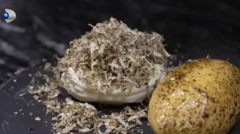 Gusturi vechi, rețete noi