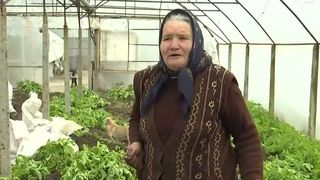 VIDEO Producția de cartofi din Rom&acirc;nia scade dramatic din cauza iernii geroase. Avem prețuri mai mari și recolte mai mici