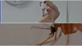 VIDEO Ce se &icirc;nt&acirc;mplă acum cu copiii din Iași confirmați cu malarie