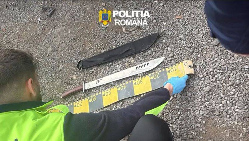 politisti, urmarire arges 