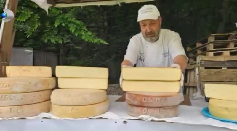  Afacerea din Italia, realitatea de acasă