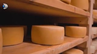  Afacerea din Italia, realitatea de acasă