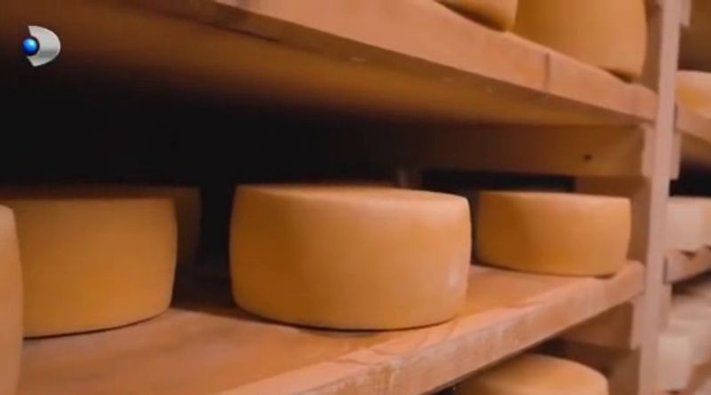  Afacerea din Italia, realitatea de acasă