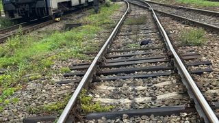 VIDEO Trenurile din Rom&acirc;nia merg cu viteza melcului &icirc;n 2026. O călătorie de 90 minute cu mașina, făcută pe calea ferată &icirc;n patru ore