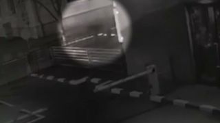 VIDEO Un urs a fost surprins pe străzile din C&acirc;mpina, &icirc;n miez de noapte