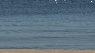 VIDEO Prima zi de plajă litoralul rom&acirc;nesc. Unii turiști s-au aventurat deja &icirc;n Marea Neagră 