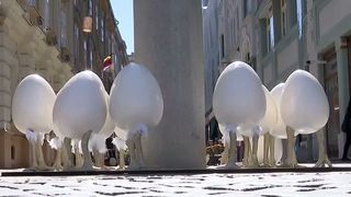 VIDEO Ouăle cu picioare, motiv de scandal la Timișoara