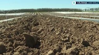 VIDEO Criza carburantului amenință agricultura rom&acirc;nească. 3 milioane de hectare riscă să răm&acirc;nă ne&icirc;nsăm&acirc;nțate