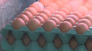 VIDEO Ouăle de Paște se scumpesc, dar rom&acirc;nii nu renunță la tradiție