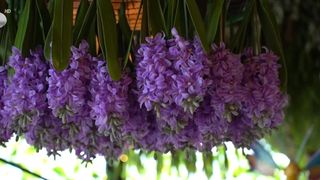 VIDEO Trucuri de bine: puterea &icirc;nt&acirc;lnirilor romantice