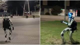 VIDEO Edward, robotul din Polonia care alungă mistreții