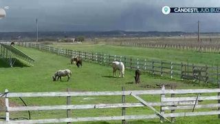 VIDEO Agroturismul, tot mai căutat &icirc;n Rom&acirc;nia