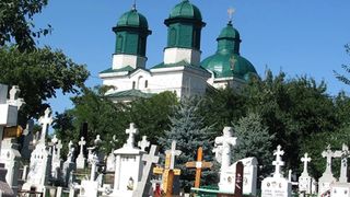 VIDEO Scene de groază &icirc;n cimitirul din Huși. Zeci de cranii și oase umane au fost scoase din morminte și zac pe iarbă: &bdquo;Cum se poate așa ceva?&rdquo;