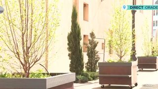 VIDEO Oradea inaugurează prima pădure urbană mobilă din Rom&acirc;nia