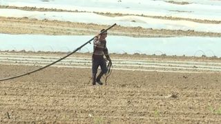 VIDEO Aleșii se ceartă, oamenii de r&acirc;nd se chinuie. Agricultorii din Dolj luptă zilnic să supraviețuiască: &bdquo;Suntem terminați. Vai de mama noastră!&rdquo;