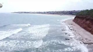 VIDEO Fenomen alarmant - mor delfinii din Marea Neagră