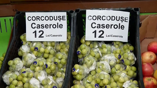 VIDEO Corcodușele, fructele vedetă ale sezonului: v&acirc;ndute rapid la prețuri record &icirc;n piețele din Rom&acirc;nia