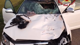 fata moarta, accident rutier 