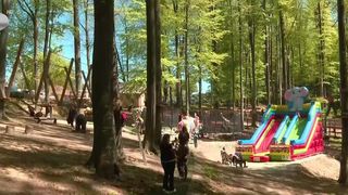 VIDEO &bdquo;E o locație superbă&rdquo;. S-au distrat &icirc;n mijlocul pădurii din Bihor