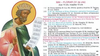 Sf&acirc;ntul și Dreptul Iov