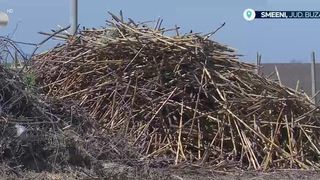 VIDEO &bdquo;O să ajungă pe terenurile agricole&rdquo;. Resturile vegetale, transformate &icirc;n compost