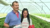 VIDEO Au muncit din greu &icirc;n Anglia, dar au ales să se &icirc;ntoarcă &icirc;n Rom&acirc;nia. Povestea unui cuplu din Olt care a deschis o afacere agricolă prosperă cu banii c&acirc;știgați peste hotare