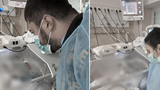 VIDEO &bdquo;A putrezit &icirc;n incubator.&rdquo; Ce l-a ucis, de fapt, pe bebelușul de la Maternitatea Polizu. Părinții l-au botezat &icirc;n spital pe Matei