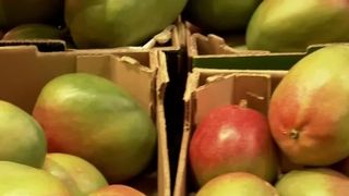 VIDEO Gustare exotică pentru copiii din comunitățile defavorizate. &Icirc;n ce oraș din țară se &icirc;nt&acirc;mplă