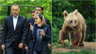 El este ursul Batyr, pe care președintele polonez l-a adoptat de la distanță