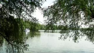 VIDEO &bdquo;Ar fi ur&acirc;t fără apă&rdquo;. Se golește lacul Herăstrău
