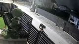 VIDEO Ursul care a băgat spaima &icirc;ntr-o localitate de l&acirc;ngă Cluj-Napoca e căutat de două zile