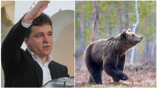  Președintele a adoptat intervenția imediată pentru prevenirea și combaterea atacurilor urșilor 