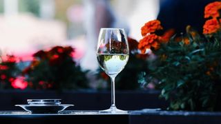 (P) Vin alb - soiuri populare și recomandări pentru servire