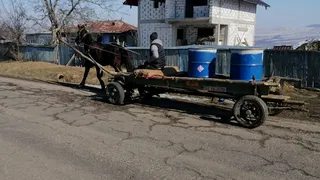 A ajuns &icirc;n comă, după ce a fost t&acirc;r&acirc;t de cal circa 10 metri. Bărbatul de 58 de ani a pierdut controlul căruței și a intrat intr-un st&acirc;lp 