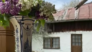 Ina Solomon a lăsat &icirc;n urmă orașul și s-a mutat &icirc;napoi &icirc;n locurile &icirc;n care a cresscut
