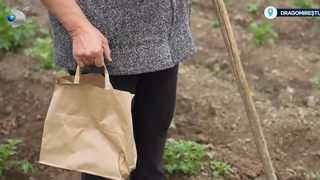 VIDEO Livrările de m&acirc;ncare ajung și la sate: o nouă viață pentru comunitățile rurale din Maramureș