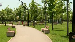 VIDEO Surpriză la votul pentru parcul Tudor Arghezi. Parcul din Sectorul 4, botezat &bdquo;Donald Trump&rdquo;