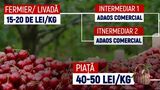 VIDEO Sezonul cireșelor aduce prețuri umflate și fructe de import &icirc;n piețele rom&acirc;nești