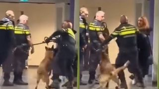 VIDEO Scandal &icirc;n poliție, după ce o femeie &icirc;nsărcinată a fost tr&acirc;ntită la păm&acirc;nt de un agent de poliție, &icirc;n Olanda