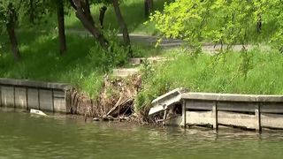 VIDEO &bdquo;Digurile sunt vai de mama lor&rdquo;. Se golește lacul Herăstrău
