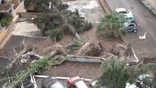 VIDEO Tornadă devastatoare &icirc;n Roma și incendii masive &icirc;n Spania. Fenomenele extreme lovesc Europa