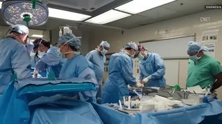 VIDEO Premieră medicală! Un bărbat a primit 3 organe de porc